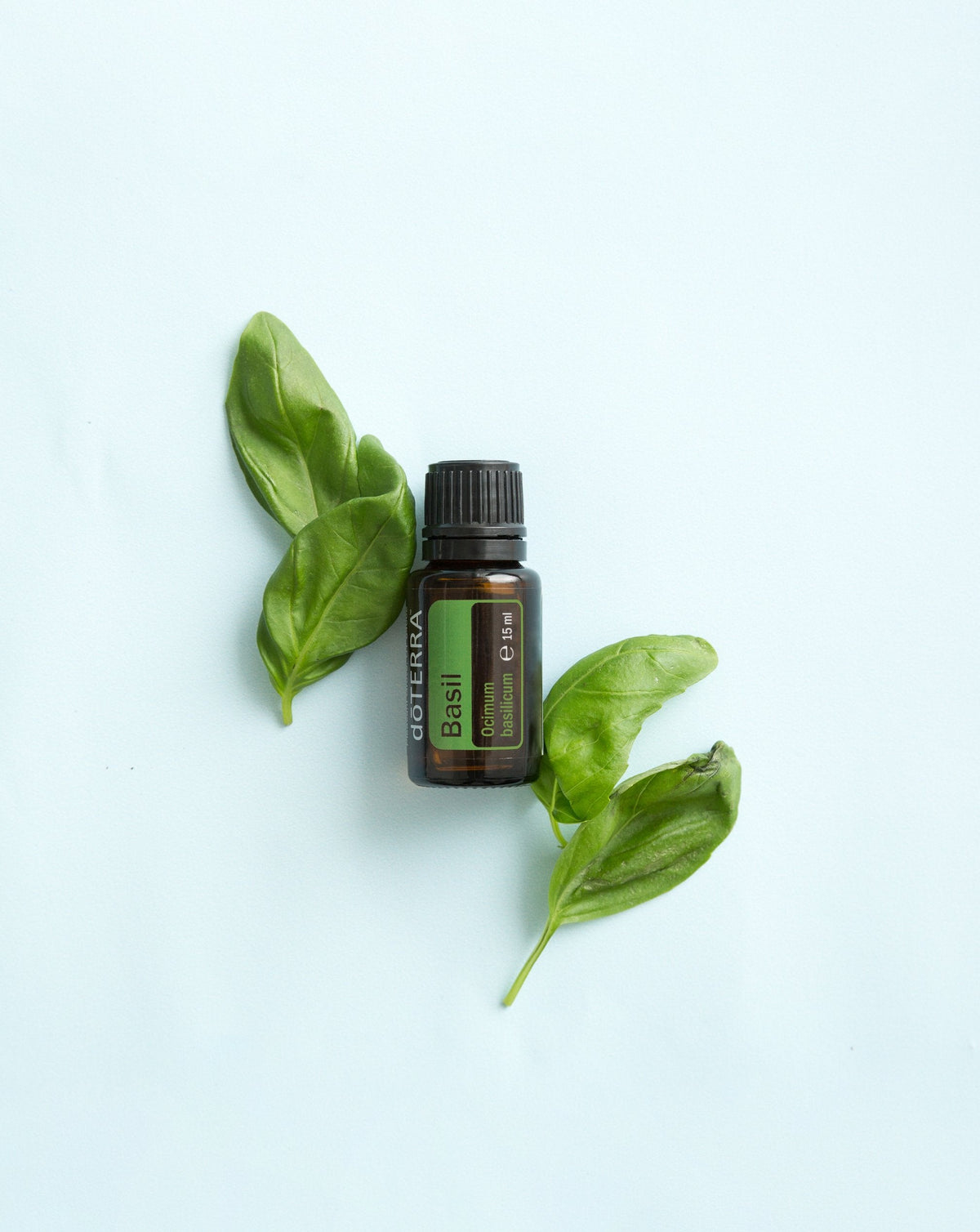 Basilic huile essentielle dōTERRA, flacon et feuilles de basilic sur fond bleu clair