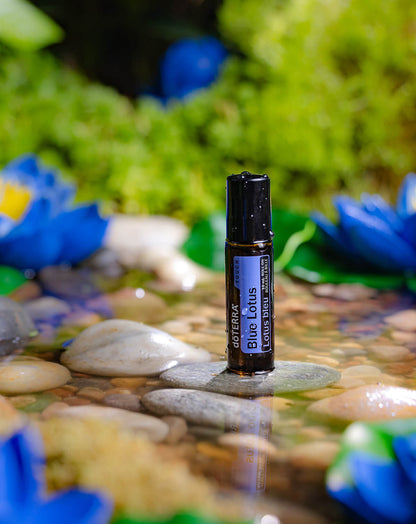 Lotus bleu Touch dilué en applicateur à bille d'huile essentielle doTERRA, 10 ml