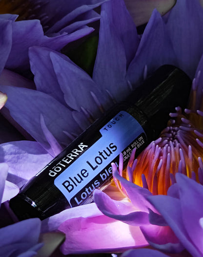 Lotus bleu Touch dilué en applicateur à bille d'huile essentielle doTERRA, 10 ml