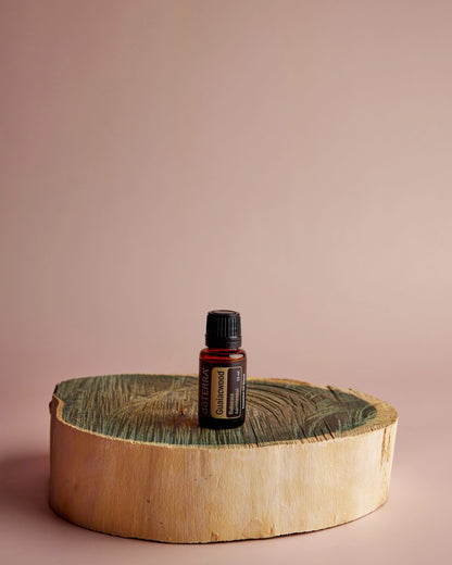 Bois de gaïac huile essentielle dōTERRA, sur une rondelle de bois