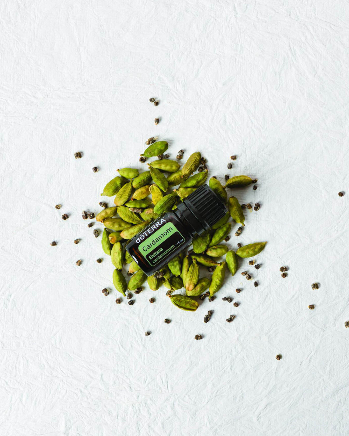Cardamome huile essentielle dōTERRA, entouré de graines de cardamome concassées