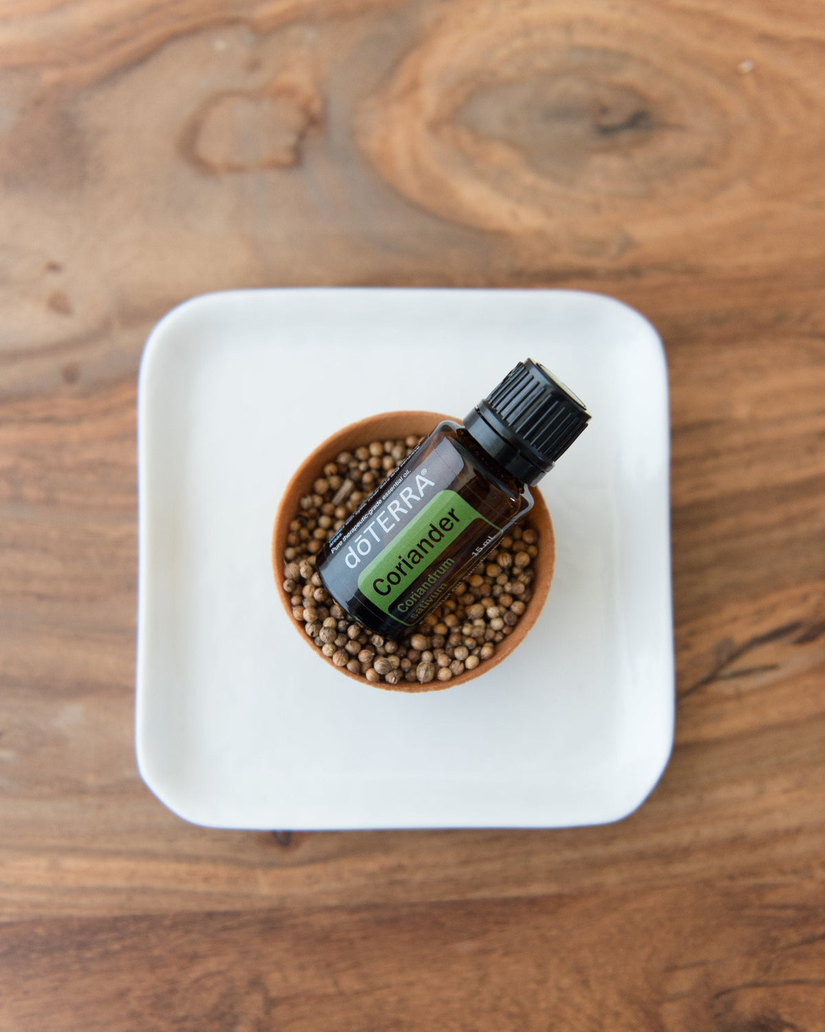 Coriandre huile essentielle dōTERRA, dans une coupelle de graines de coriandre