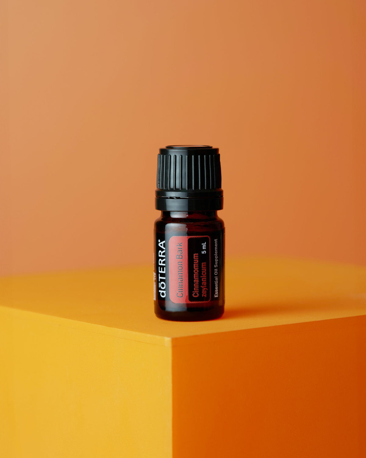 Écorce de cannelle huile essentielle dōTERRA, sur fond orange