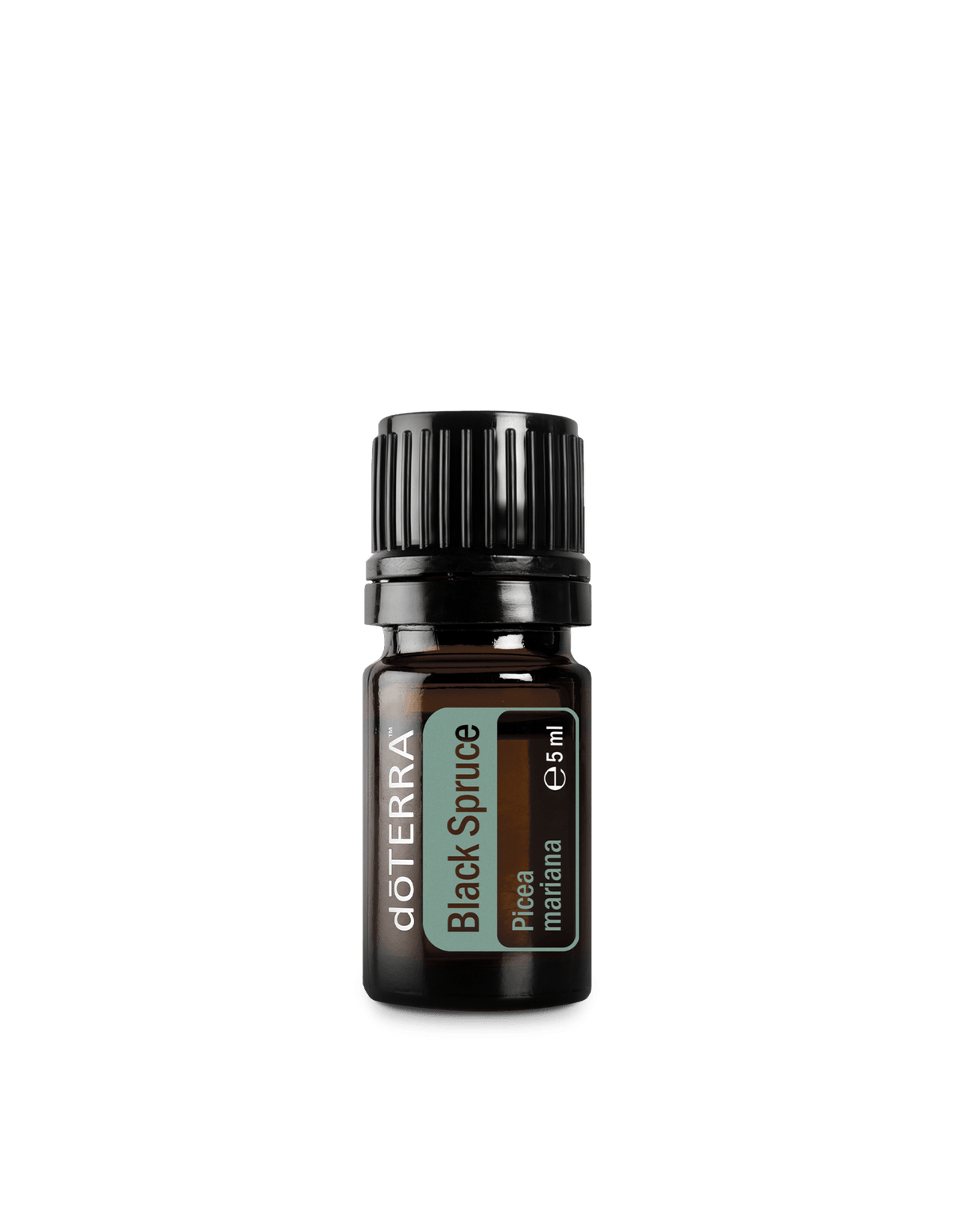 Epinette noire (Black Spruce) huile essentielle dōTERRA, 5 ml