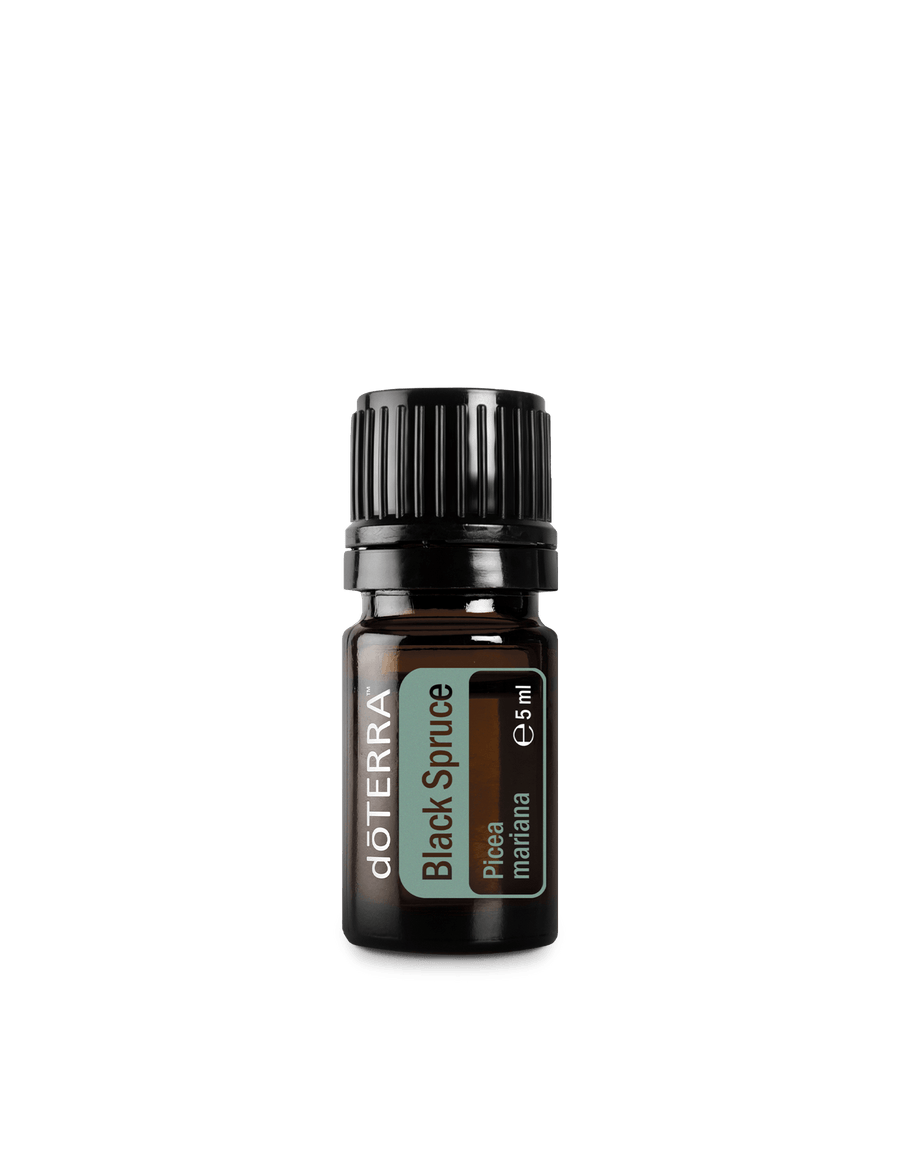 Epinette noire (Black Spruce) huile essentielle dōTERRA, 5 ml