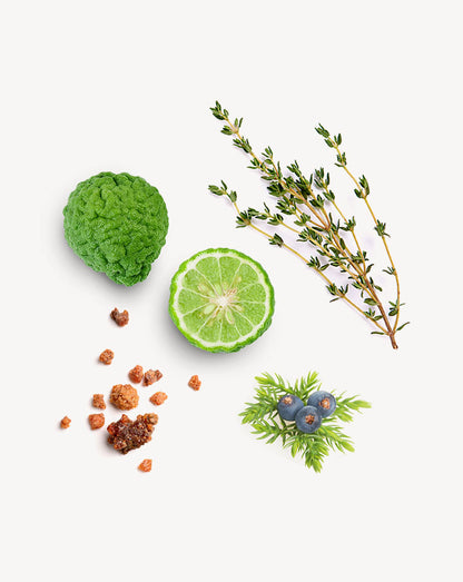 Forgive Touch mélange en applicateur à bille d'huile essentielle doTERRA, 10 ml