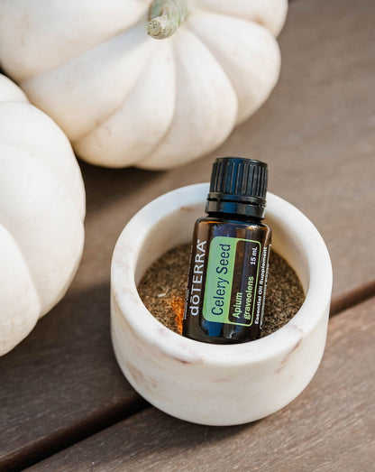 Graines de céleri huile essentielle dōTERRA, flacon dans un mortier à côté de citrouilles blanches