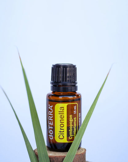 Citronnelle de Java huile essentielle doTERRA, 15 ml