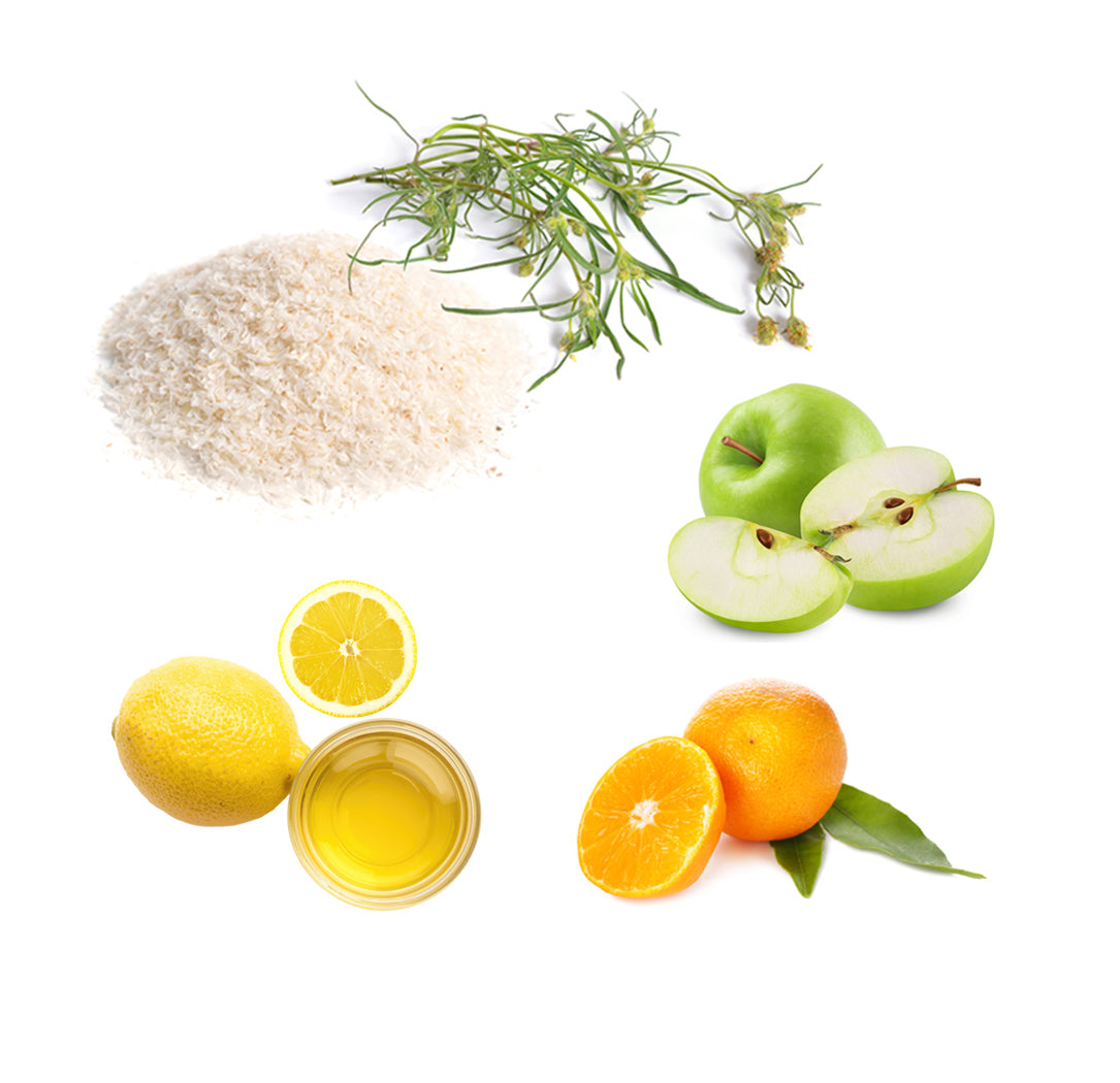 Les ingrédients mis en avant de dōTERRA Fibre