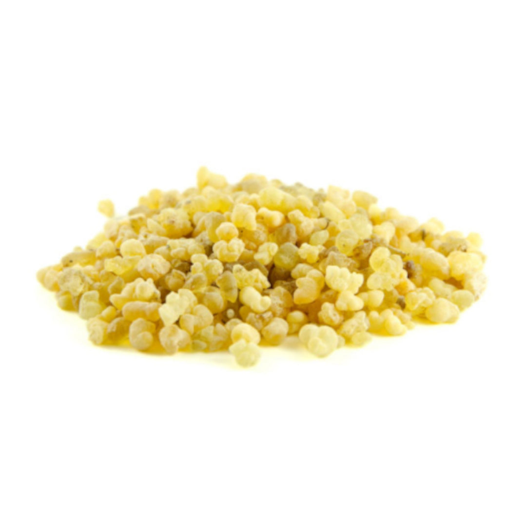 Encens, l'ingrédient des gélules microbilles d'encens dōTERRA