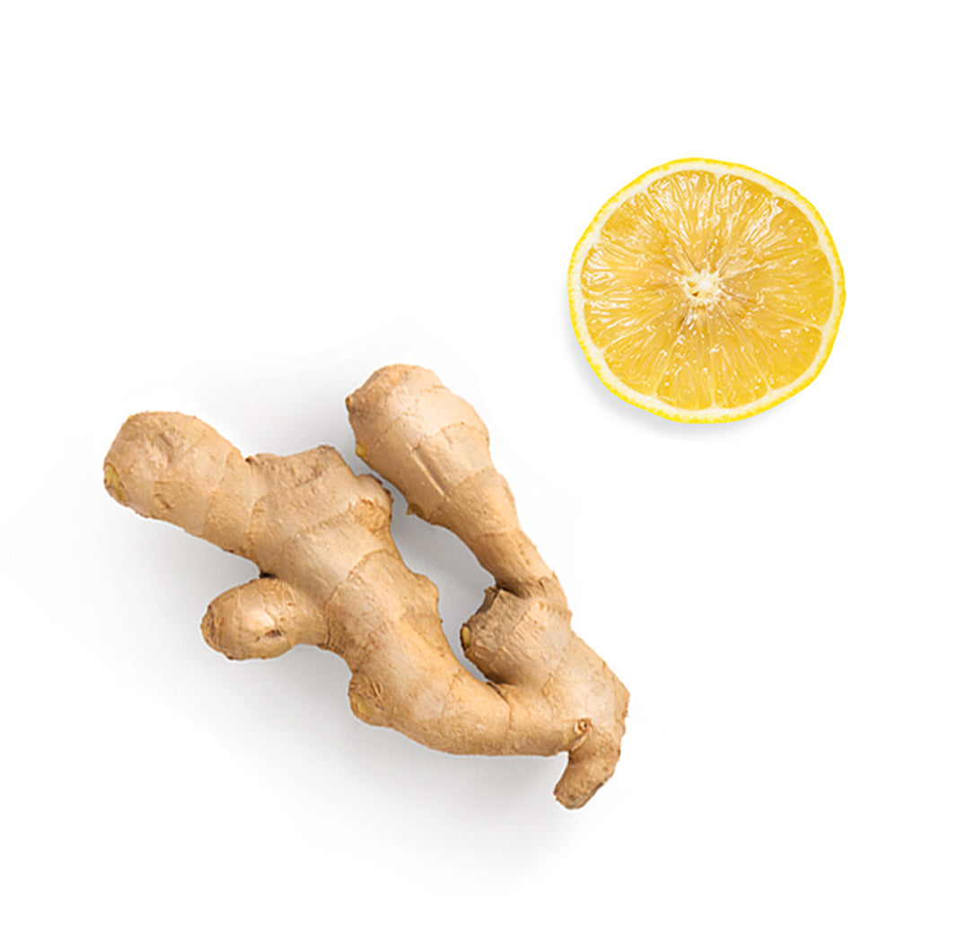 Gingembre et citron, les ingrédients mis en avant des pastilles au gingembre dōTERRA