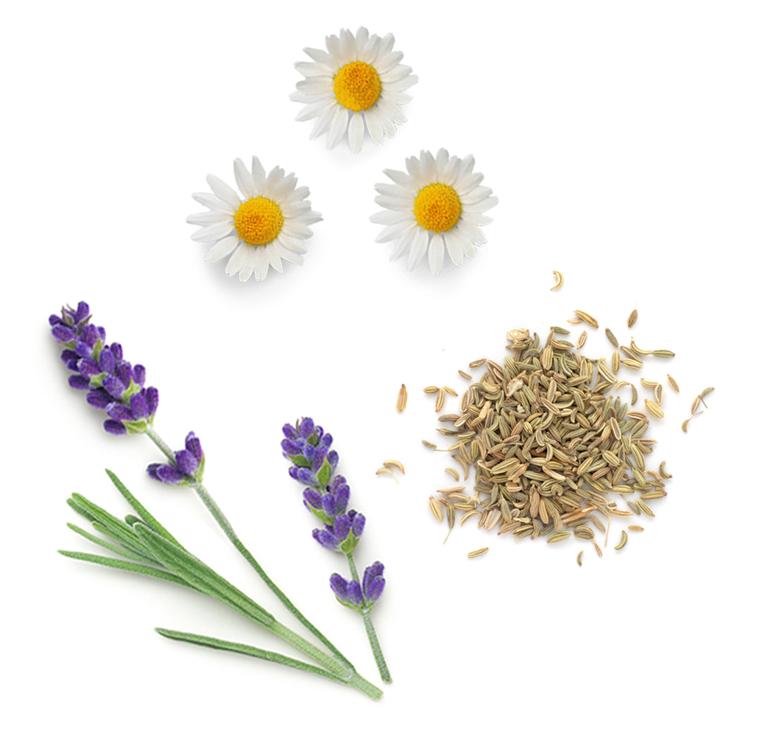 Les ingrédients du mélange ClaryCalm dōTERRA : bergamote, genévrier de Virginie, sauge sclarée, fenouil, géranium, lavande, camomille romaine et ylang ylang