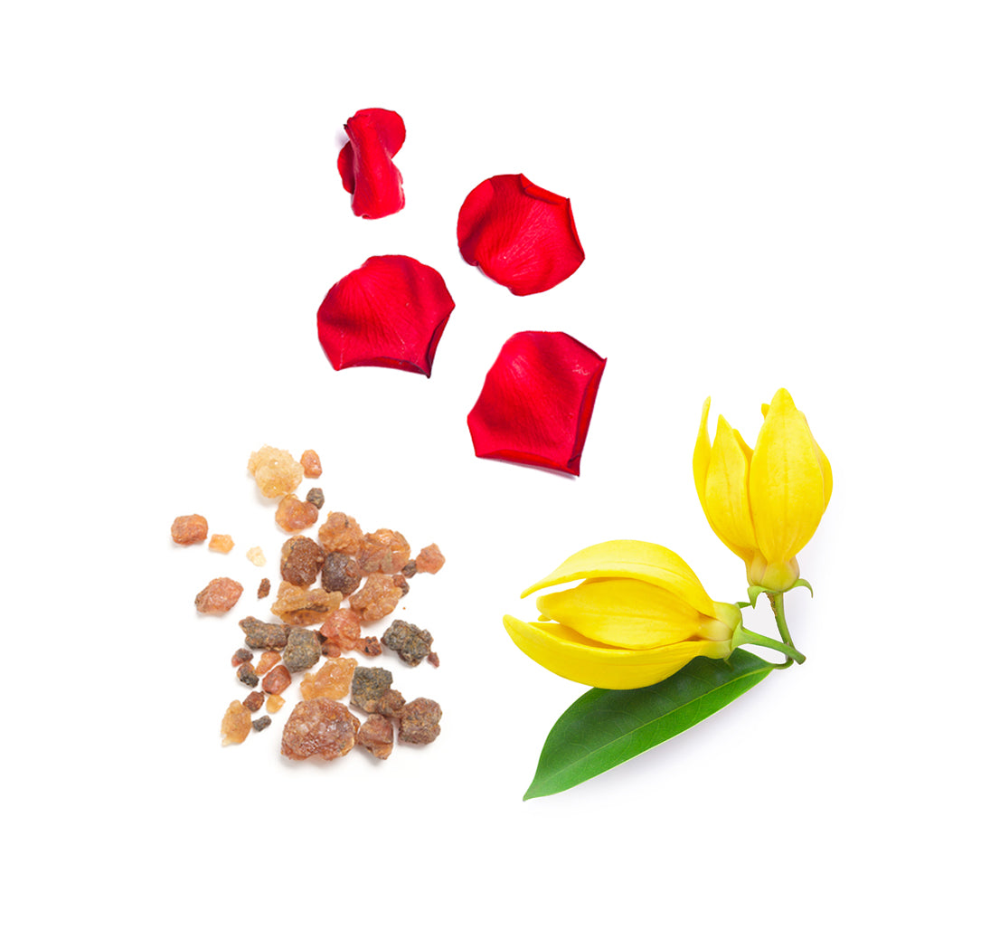 Les ingrédients du mélange Console dōTERRA : encens, patchouli, ylang ylang, bois de santal et rose