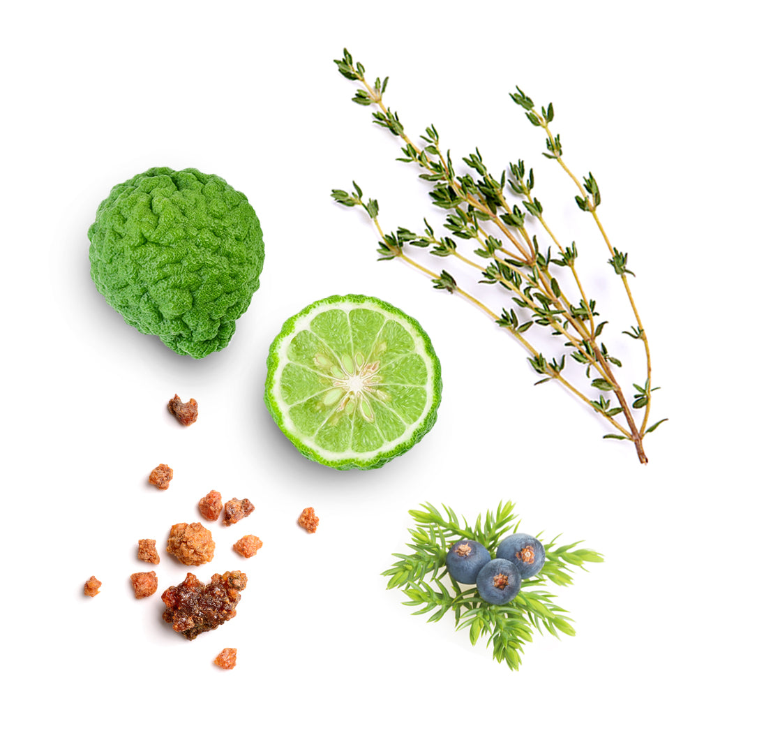 Les ingrédients du mélange Forgive dōTERRA : bergamote, baie de genièvre, myrrhe, thuya et thym