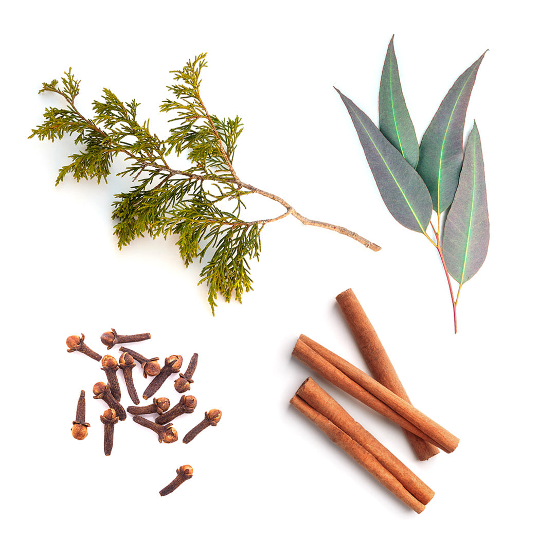 Les ingrédients mis en avant du mélange Harvest Spice dōTERRA