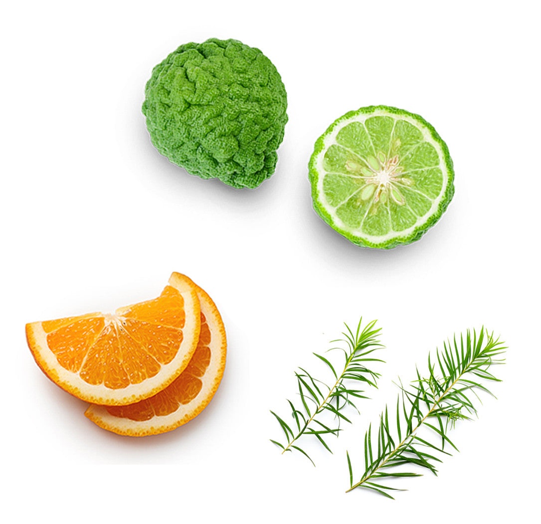 Les ingrédients du mélange Hope dōTERRA : genévrier de Virginie, orange sauvage, baies roses, bergamote, bois de santal, citron, jasmin, vétiver et petitgrain