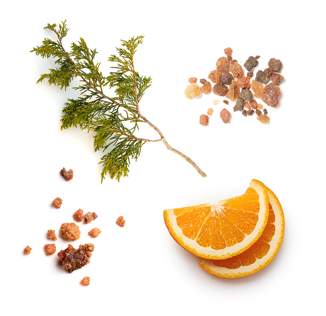 Les ingrédients du mélange Hygge dōTERRA : orange sauvage, genévrier de Virginie, myrrhe, encens, vétiver et ciste