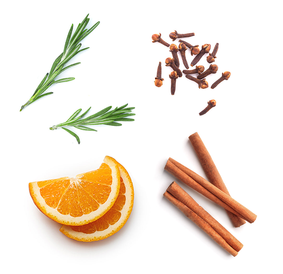 Les ingrédients du mélange On Guard dōTERRA : cannelle de Ceylan, clou de girofle, eucalyptus, romarin et orange sauvage