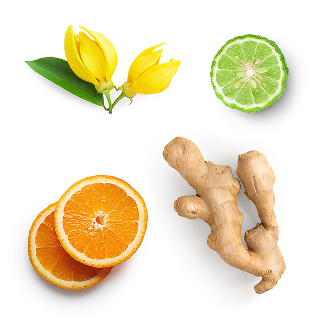 Les ingrédients du mélange Passion dōTERRA : gingembre, jasmin, bois de santal, ylang ylang, orange sauvage, magnolia, citron, cardamome, bergamote, cannelle de Ceylan, damiana et vanille