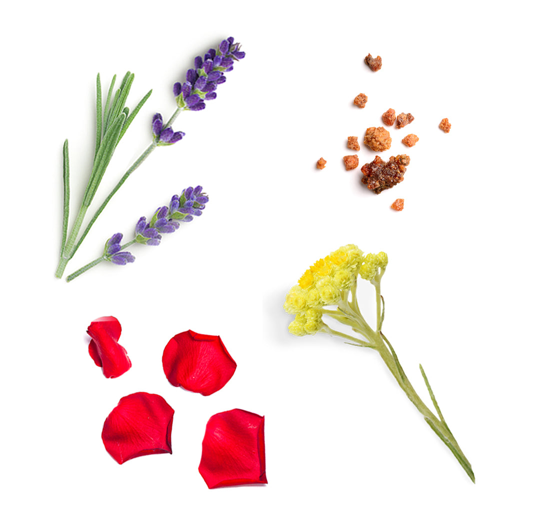 Les ingrédients du mélange Salubelle dōTERRA : encens, bois de santal hawaïen, hélichryse, lavande, myrrhe et rose