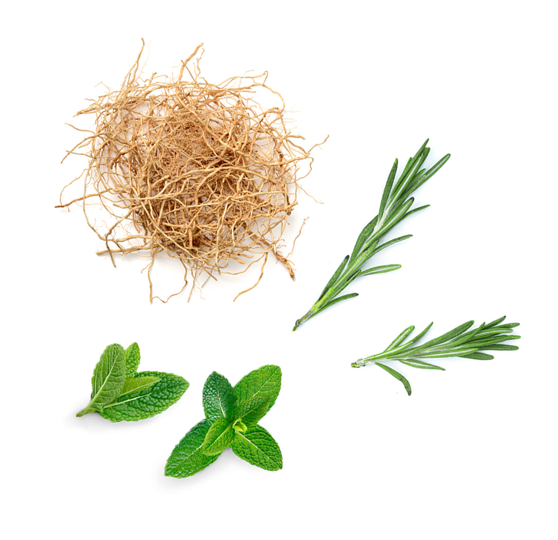 Les ingrédients du mélange Thinker dōTERRA : vétiver, menthe poivrée et romarin