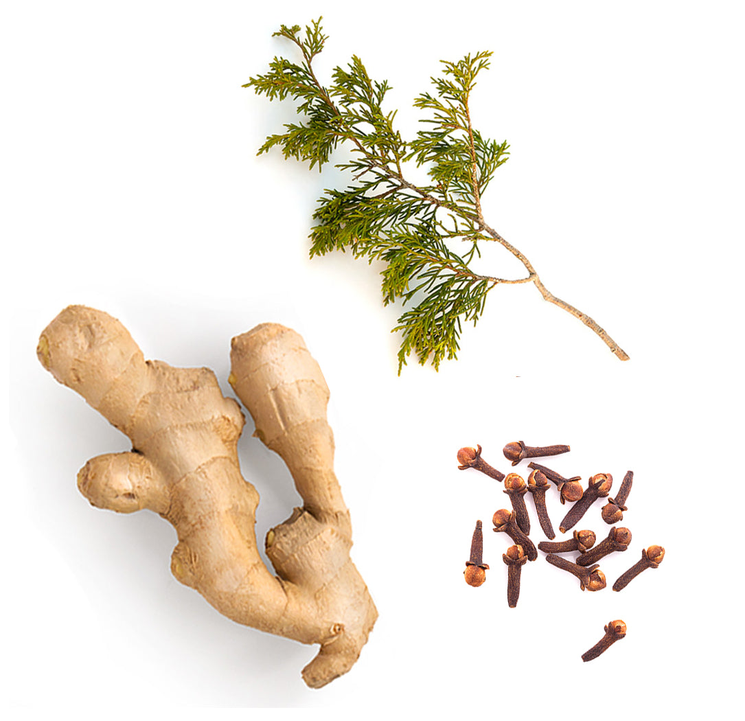 Les ingrédients mis en avant du mélange Vanilla Chai dōTERRA