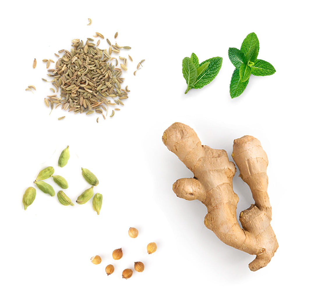 Les ingrédients du mélange ZenGest dōTERRA : menthe poivrée, coriandre, gingembre, carvi et cardamome