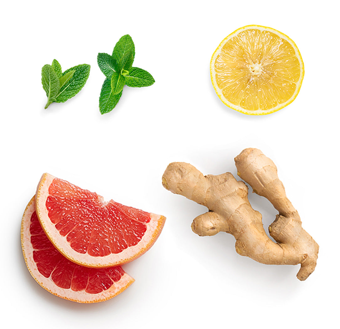 Pamplemousse, citron, menthe poivrée, gingembre et cannelle de Ceylan, les ingrédients mis en avant de MetaPWR Assist dōTERRA