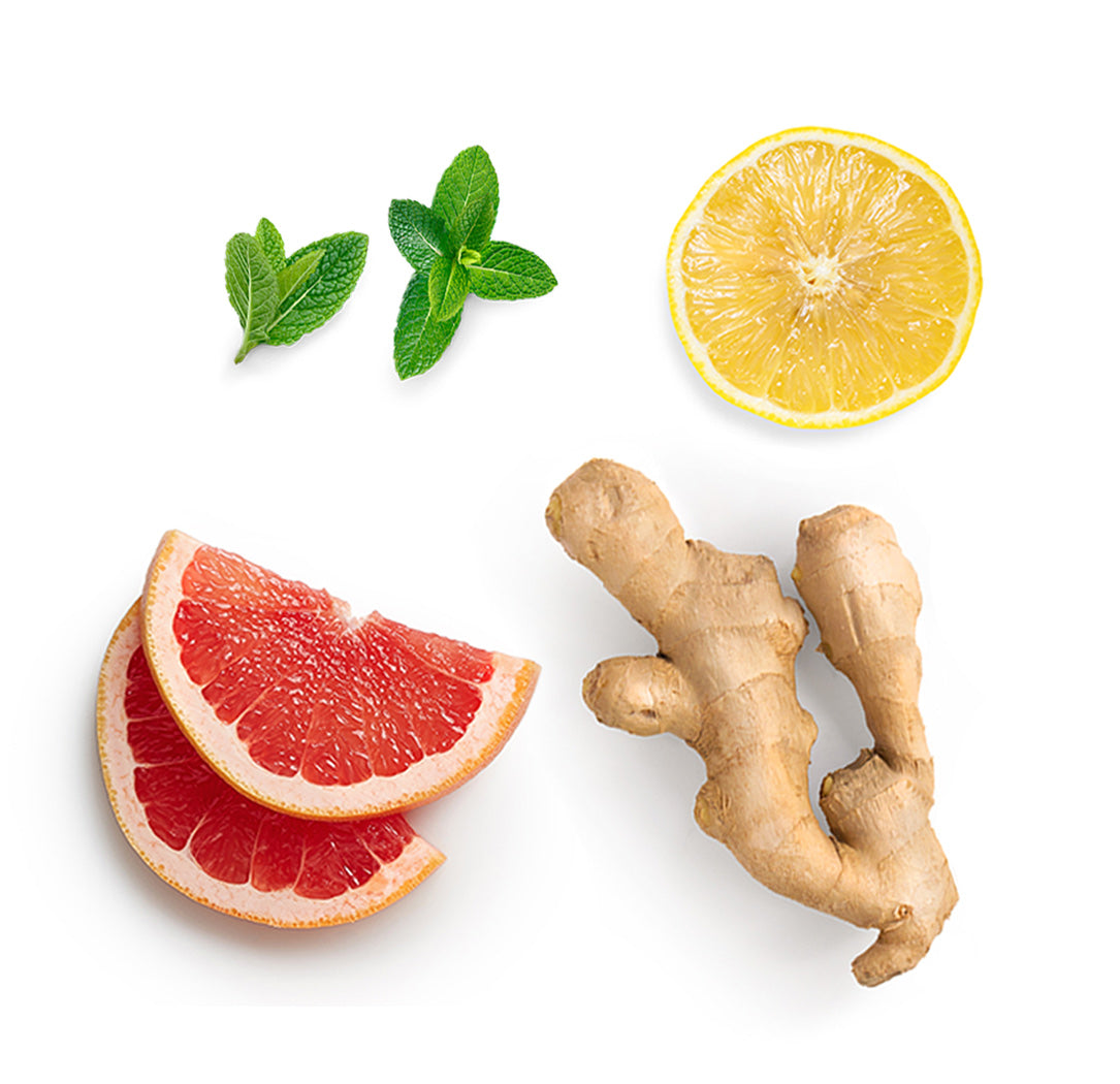 Pamplemousse, citron, menthe poivrée, gingembre et cannelle de Ceylan, les ingrédients mis en avant de MetaPWR Recharge dōTERRA