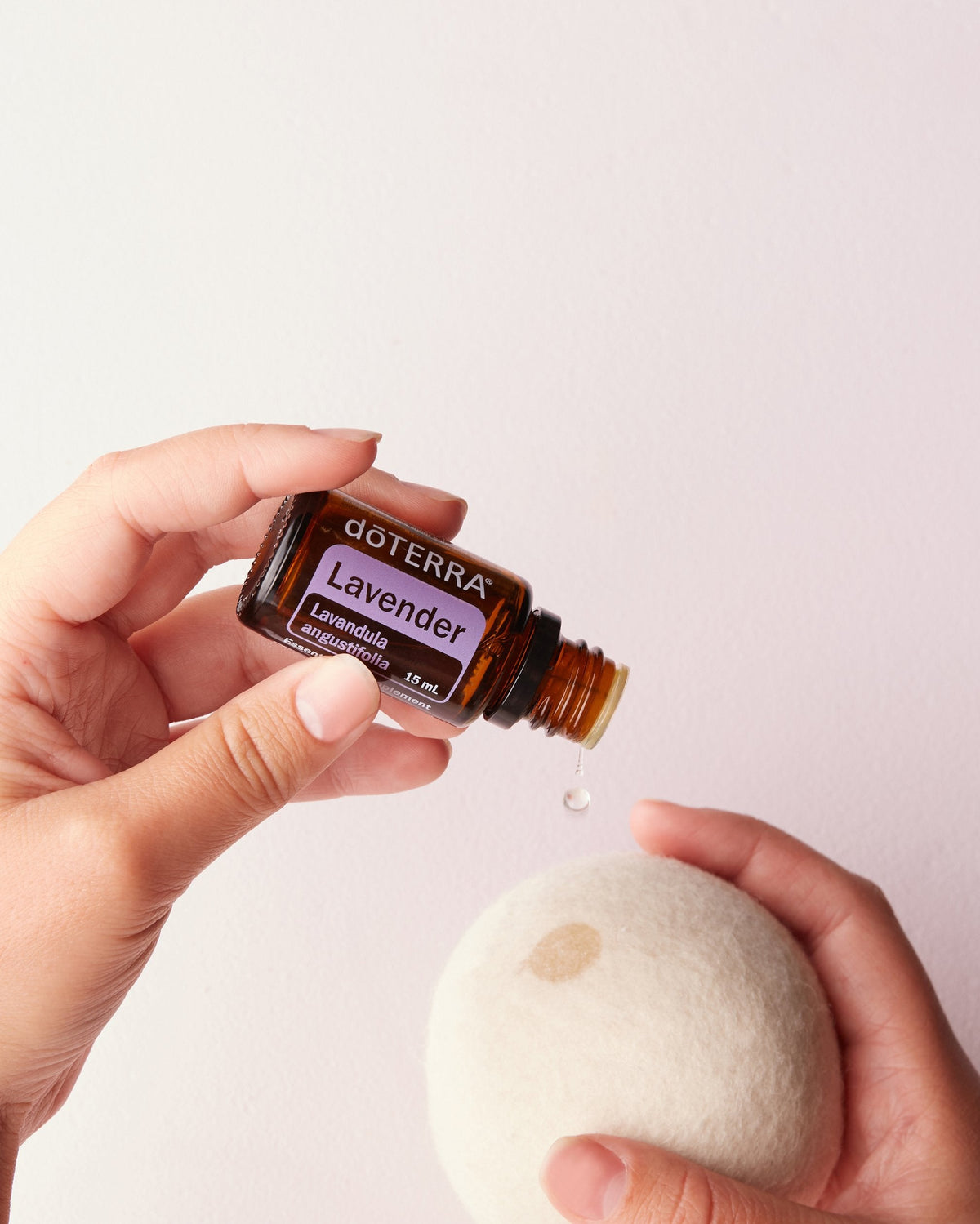 Lavande huile essentielle dōTERRA, tenu en main près d'un galet