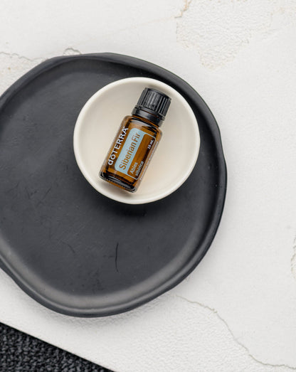 Sapin de Sibérie huile essentielle dōTERRA, flacon dans une coupelle sur un plateau noir