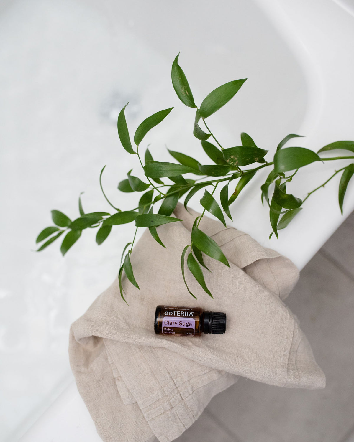 Sauge sclérée huile essentielle dōTERRA, sur un linge avec des branches de sauge