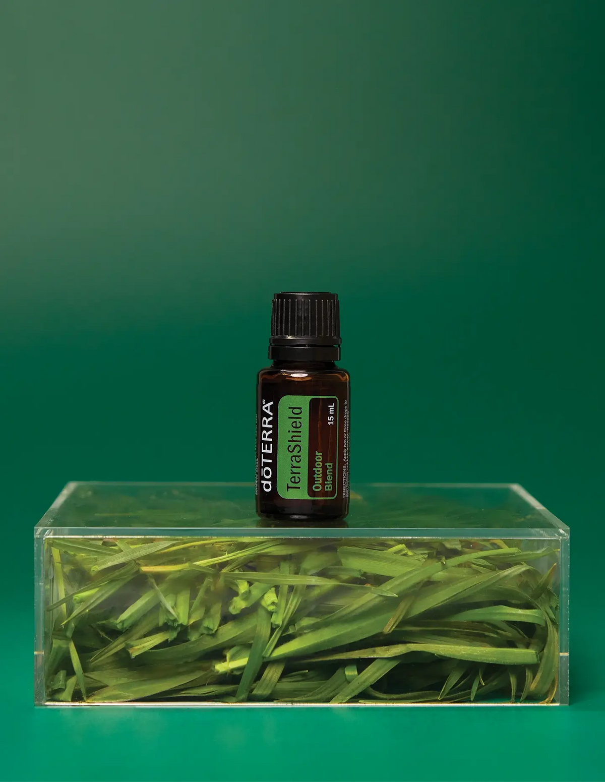 Shinrin-Yoku mélange bain de forêt d'huile essentielle doTERRA, 15 ml