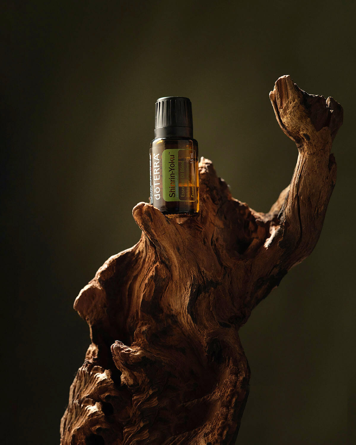 Shinrin-Yoku mélange bain de forêt doTERRA, 15 ml