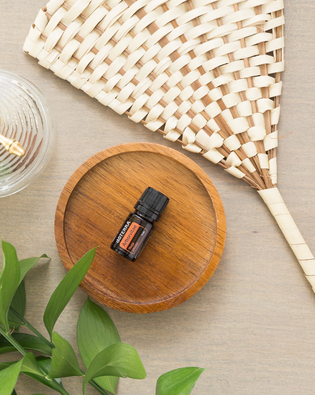 Thuya huile essentielle dōTERRA, flacon sur un plateau en bois et un éventail tressé