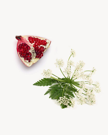 Yarrow|Pom duo actif de plantes doTERRA, 30 ml