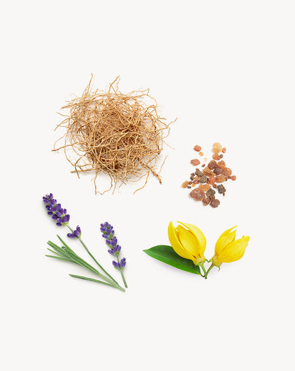 Peace Touch mélange en applicateur à bille d'huile essentielle doTERRA, 10 ml