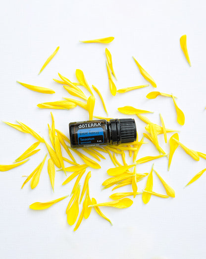 Tanaisie bleue (Blue Tansy) huile essentielle doTERRA, 5 ml