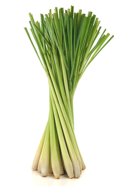 Lemongrass citronnelle huile essentielle doTERRA, 15 ml