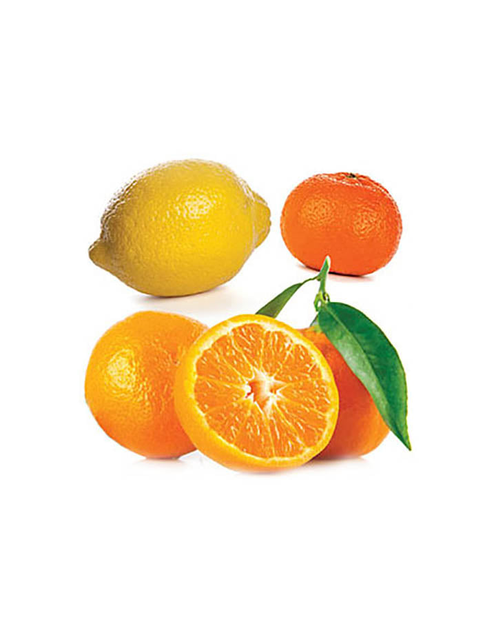 Citrus Bliss Ätherisches Öl | 15ml