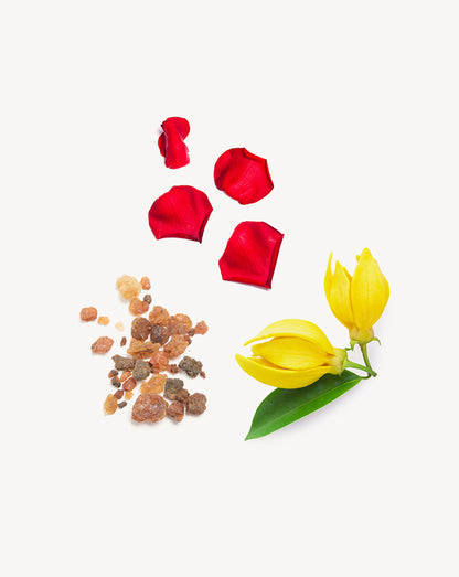 Console Touch mélange en applicateur à bille d'huile essentielle doTERRA, 10 ml