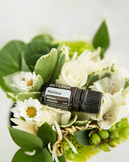 Mélisse (Melissa) huile essentielle doTERRA, 5 ml