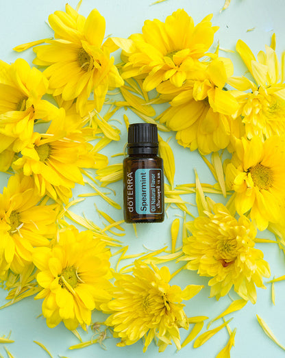 Menthe verte huile essentielle doTERRA, 15 ml