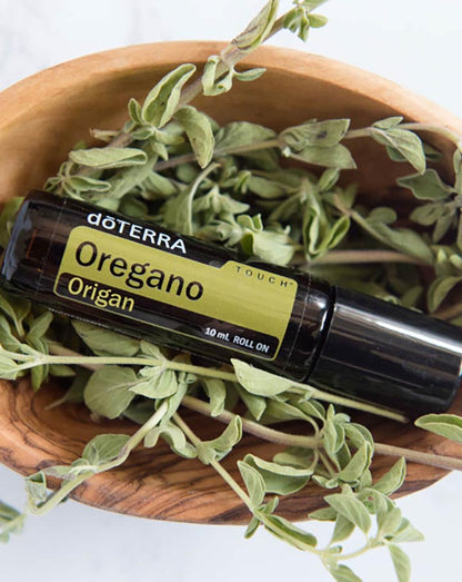 Origan Touch dilué en applicateur à bille d'huile essentielle doTERRA, 10 ml