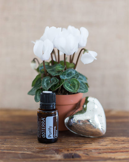 Purify mélange d'huiles essentielles doTERRA, 15 ml