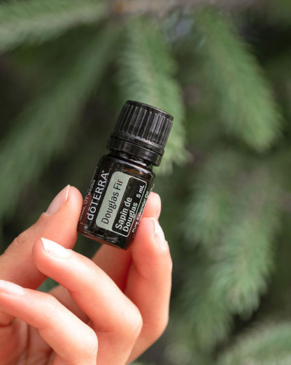 Pin Douglas (Douglas Fir) huile essentielle doTERRA, 5 ml