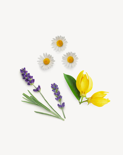Serenity mélange d’huiles essentielles doTERRA, 15ml