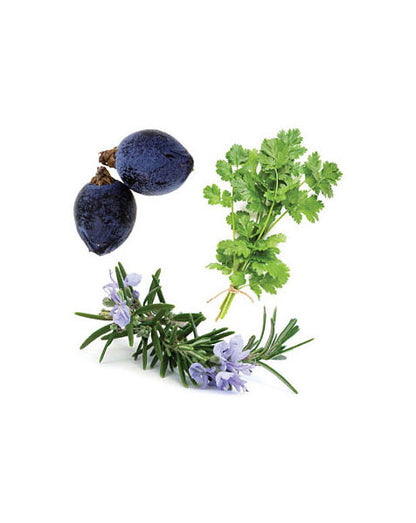 Zendocrine mélange d'huiles essentielles doTERRA, 15ml