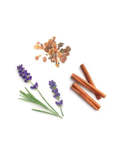 Anchor mélange stabilisant d'huile essentielle doTERRA, 5 ml