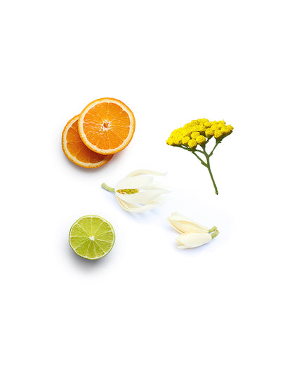 Après-shampooing sans rinçage doTERRA, 237 ml